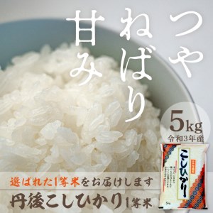 令和5年産 新米 1等米 丹後こしひかり 5kg ＜上白精米 こしひかり＞