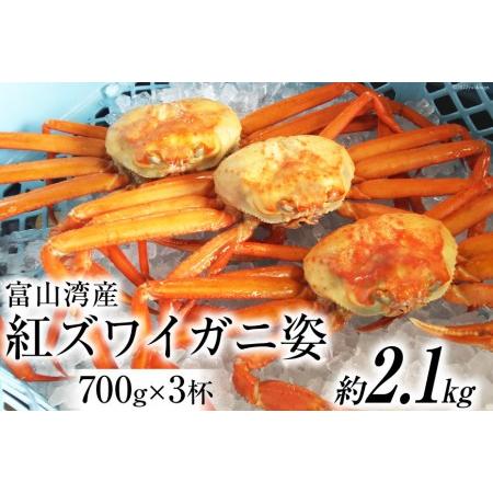 ふるさと納税 富山湾産 紅 ズワイガニ 姿 約700g×3杯   寺田鮮魚店   富山県 朝日町 [34310231] かに カニ 蟹 ボイル 富山県朝日町