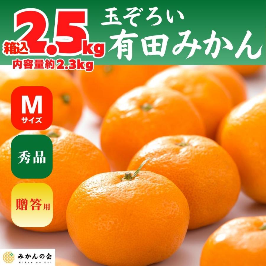 みかん 箱込 2.5kg 内容量 2.3kg Mサイズ 秀品 有田みかん 和歌山県産 産地直送 贈答用 