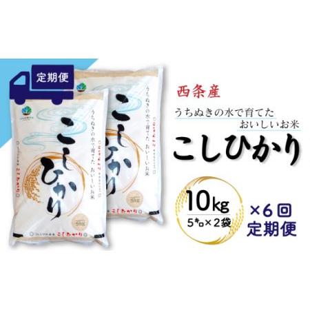 ふるさと納税 西条産のお米「コシヒカリ」（10kg） 新米 令和5年産 愛媛県西条市