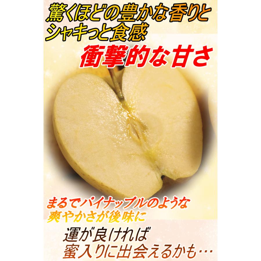 あすつく 青森 りんご 3kg箱 サンはるか 送料無料 家庭用 訳あり 青森 リンゴ 訳あり 3キロ箱★サンはるか 家訳 3kg箱