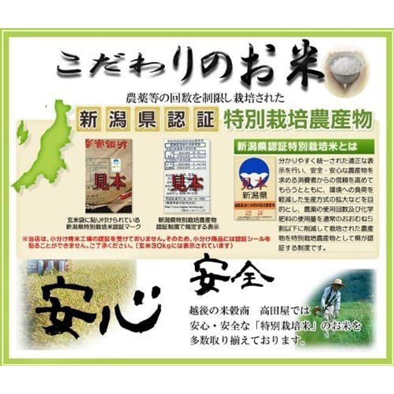 新米 精白米 5kg 昔ながらの新潟産こしひかり 令和4年産 安心安全な特別栽培米