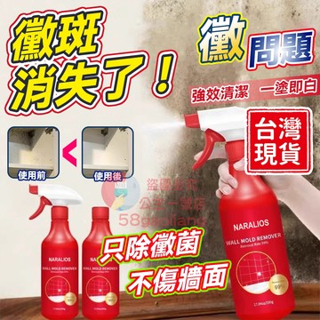 去霉除黴劑🏆隔日送達🏆除霉噴霧500g  浴室除霉噴霧 霉問題 牆壁除霉 浴室廁所清潔劑 除霉 防雨 防黴除霉慕斯
