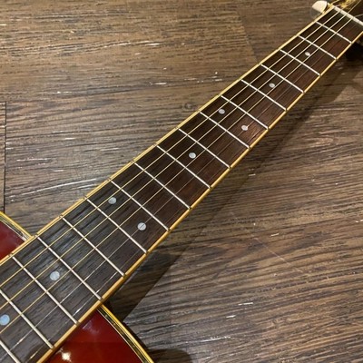 Yamaha DW-8 VRS Acoustic Guitar アコースティックギター
