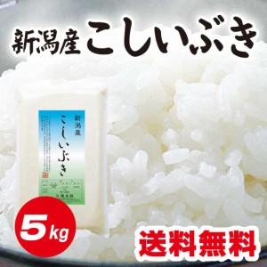 米 令和5年産 新潟産こしいぶき5kg 