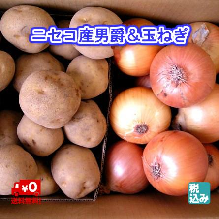 北海道ニセコ産　男爵Ｌ５ｋｇ 北見産　玉葱Ｌ大４ｋｇ　減農薬・減化学肥料栽培秋の味覚ＮＯ１