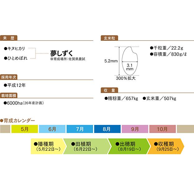 米　令和5年度産　佐賀県産　夢しずく 5kg