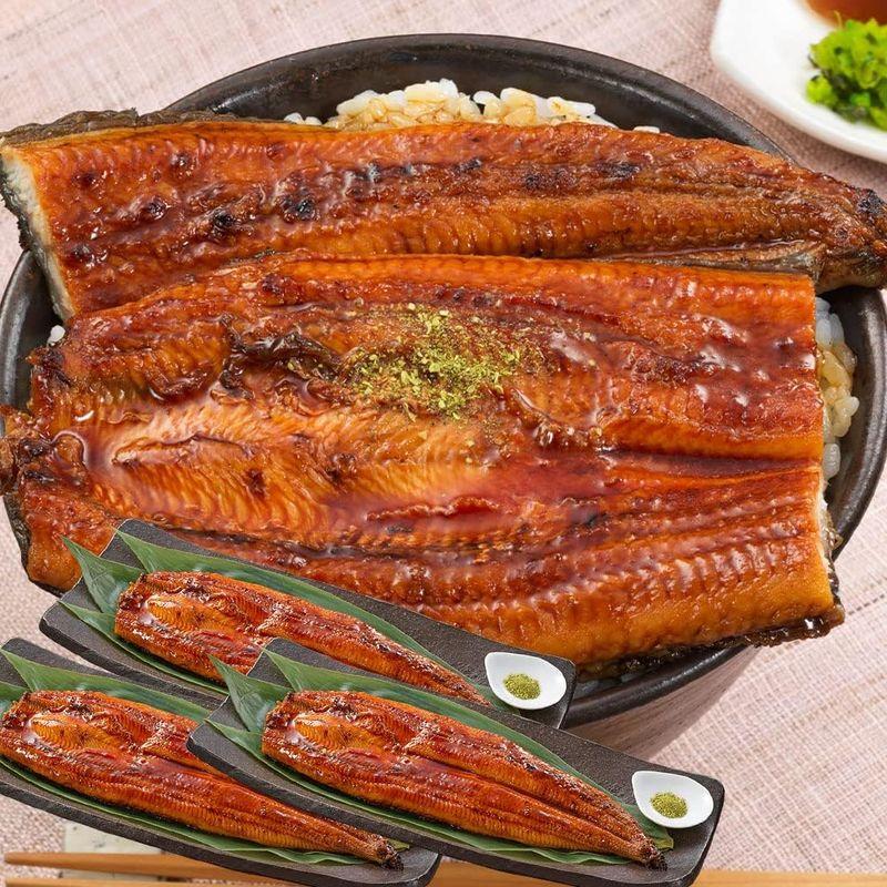 特大うなぎ蒲焼3尾入（約660ｇ 3尾）通販ならではの大型サイズ鰻 ウナギ unagi ギフト 蒲焼 ひつまぶし うな丼 うな重 うな茶漬け