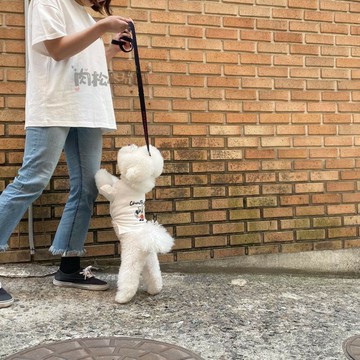 預定#韓國Country Dog親子系類狗狗主人親子裝 帆布收納包斜挎包