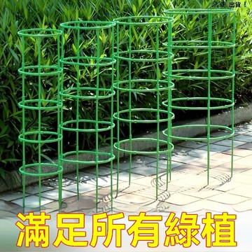 🔥臺灣出貨12H🔥花架子室內傢用支架通用型蟹爪蘭花架蓮花護葉架園藝盆栽支撐桿AShhfoofyj777