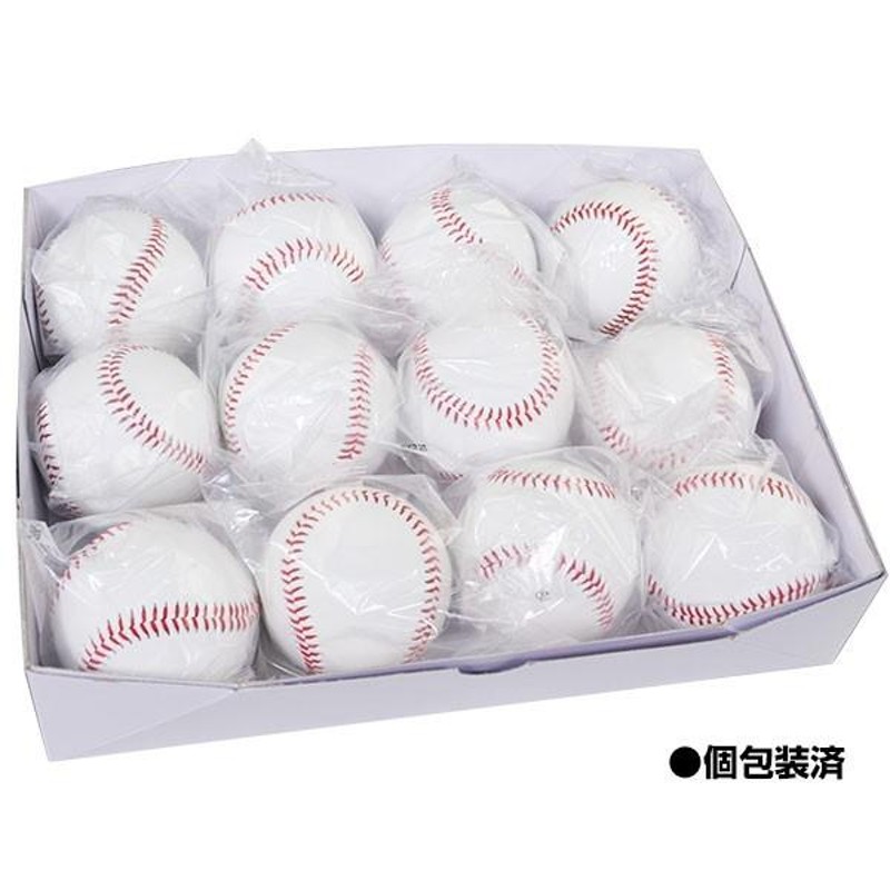 野球 サインボール 硬式球デザイン 24個売り 個包装済み サイン用 FSB 