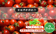 KBD001 ミニトマト1.5kg　大玉とイエローミニ500g 計2kg＜木更津水耕組合＞ ミニトマト 千葉県 木更津 送料無料