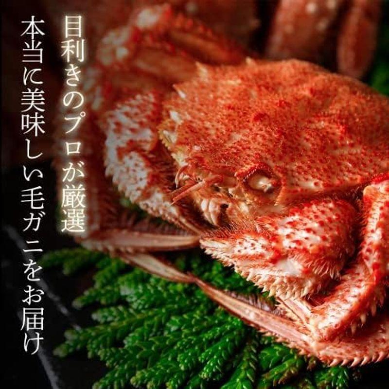 北海道オホーツク産 特選毛ガニ (400g×2) 海鮮ギフト 毛蟹 お取り寄せグルメ 贈答品 高級