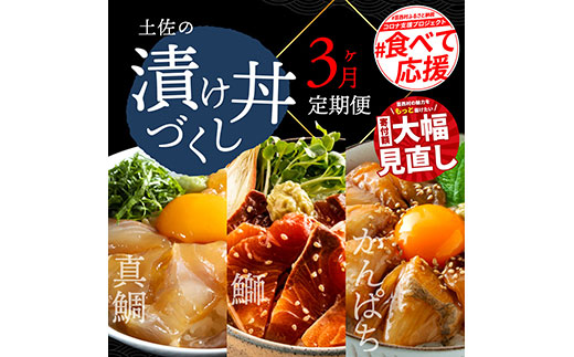 海鮮 芸西村3ヵ月連続定期便 土佐の漬け丼づくし定期便／1回目：真鯛の漬け丼の素、2回目：ブリ漬丼の素、3回目：かんぱち漬丼の素 本場 高知 土佐 海鮮 自慢 返礼品 お楽しみ〈高知市共通返礼品〉