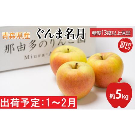 ふるさと納税 年明け  家庭用 ぐんま名月 約5kg（糖度証明書付き）  青森県平川市