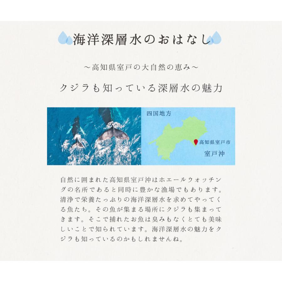 かき 牡蠣 カキ 殻付き牡蠣 22~25個 生食用 プレミアムオイスター 室戸海洋深層水仕込み