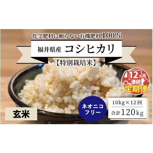 ふるさと納税 福井県 坂井市 福井県産 コシヒカリ 10kg 〜化学肥料にたよらない有機肥料100%〜 ネオニコ…