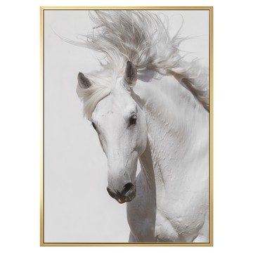 菠蘿選畫所 掛畫 白馬 無束 ANSS4611G  59.4 x 42cm  金色