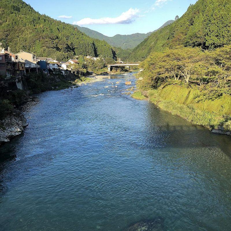 高知県産 仁淀川きくらげ 乾燥黒きくらげ ホールタイプ 100g