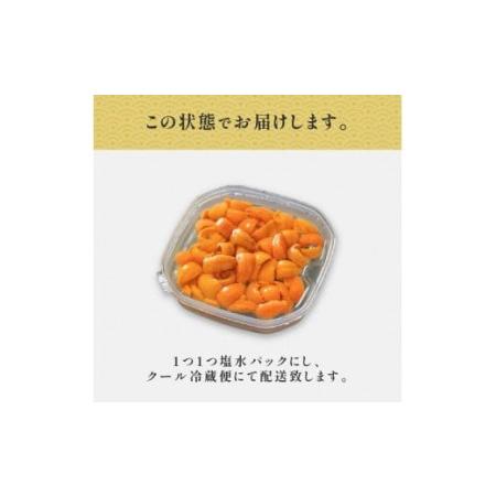 ふるさと納税 無添加　極上エゾバフンウニ塩水パック100g D：24年4月上旬〜5月下旬迄 北海道登別市