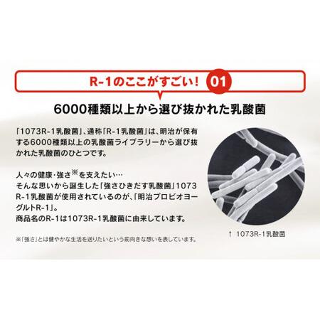 ふるさと納税 明治プロビオヨーグルトR-1 こだわり食感 100g×24個×6回 茨城県守谷市