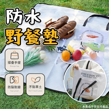 【🇹🇼摺疊可手提！現貨免運 快速出貨】防水野餐墊 露營地墊 野餐地墊 戶外地墊 沙灘墊 加厚野餐墊 手提野餐墊