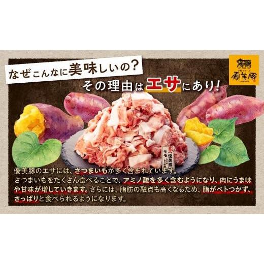 ふるさと納税 鹿児島県 大崎町 鹿児島県産黒豚「優美豚」しゃぶしゃぶセット