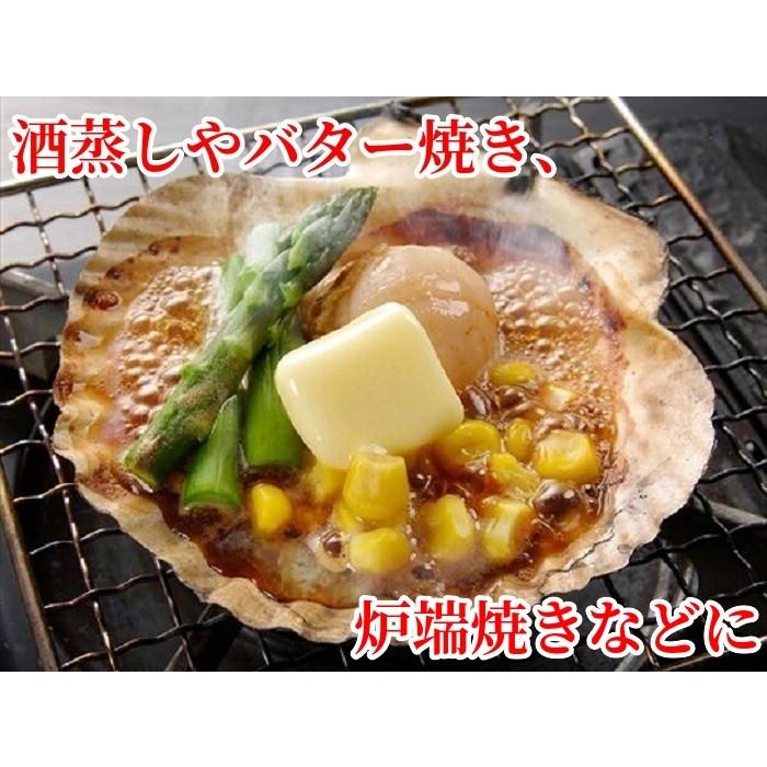 ホタテ 殻付き ほたて貝 片貝 計30枚 北海道産 BBQ 網焼き 冷凍 加熱用 お取り寄せ 帆立