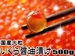 （沖縄・離島は除く）いくら醤油漬け鮭卵 数量限定 北海道産 大粒 いくら 特選醤油 イクラ５００ｇ