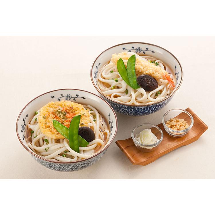 手延べ讃岐うどん詰合せ（牛肉うどん入り）（送料無料）（贈答 ギフト 贈り物 プレゼント お歳暮）