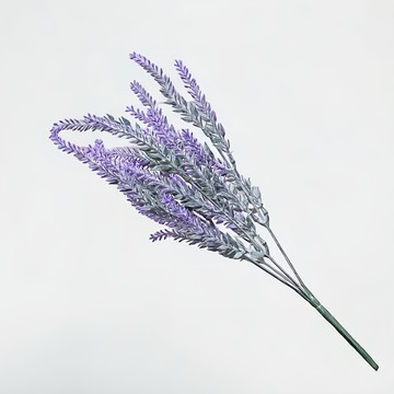 FLORAL M 南法薰衣草花園仿真花 莫內紫 居家裝飾  1支