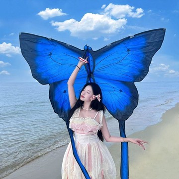 【可打統編】2065新款大型蝴蝶風箏 情侶藍蝴蝶大人戶外春遊拍照微風易飛立體 HVGJ
