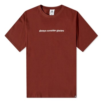 Nike ACG NRG Glacier T-Shirt 'Oxen Brown'