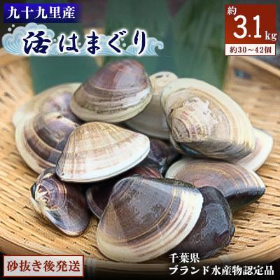 ふるさと納税 旭市 九十九里産　活はまぐり　約3.1kg