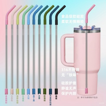 🔥台灣熱賣DIY🔥 【贈刷易潔】ins風316不銹鋼吸管食品級硅膠配件mm耐高溫環保吸嘴加長替換吸管0401 ZZRW