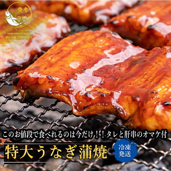 特大うなぎ蒲焼き 2尾 約250g×2尾 蒲焼き 鰻 ウナギ 一尾真空 個別真空 おまけ 肝串