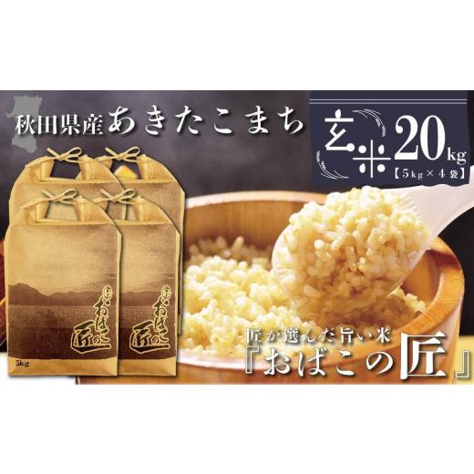 ふるさと納税 秋田県 大仙市 秋田県産おばこの匠あきたこまち　20kg （5kg×4袋）玄米