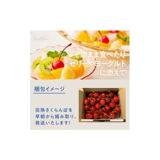 ふるさと納税 山梨県 北杜市 完熟大玉・さくらんぼ（L〜2Lバラ 約700ｇ）