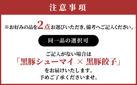 どれを選んでも大満足！ 餃子 と 焼売 のよりどり2点 セット　K033-005 中華 惣菜 総菜 レトルト 冷凍食品 加工食品 選べる