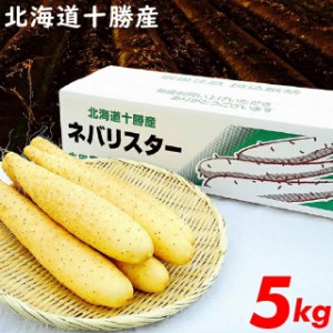 ギフト 野菜 今季出荷開始 送料無料 北海道産 新世代野菜 ネバリスター(5kg)   ながいも 長いも 長イモ 芋 いも 自然薯 里芋 やまといも