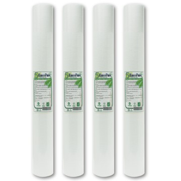 EssenPure 加強版20英吋5微米壓紋PP濾心(4支組)