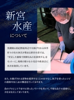 骨なし 無添加 塩さば 切身 60g × 12枚 (4枚入り3セット)   さば 塩さば 冷凍 おかず 魚 お魚 魚介 海鮮 安心 人気 大容量 小分け ごはんのお供 ふっくら やわらか 美味しい 焼き魚