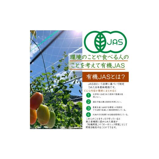 ふるさと納税 京都府 亀岡市 ＜京都・矢田の里＞産地直送！有機JAS認定 京野菜・農家のこだわり野菜・新鮮卵など お楽しみセット1年間お届け≪…