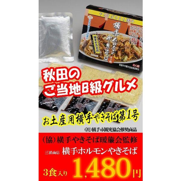 横手ホルモンやきそば　３食入り