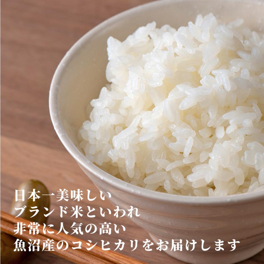 セール 新米 令和5年産 魚沼産 コシヒカリ 150kg(5kg×30袋) 国産 新潟県産 こしひかり お米 白米 米 ヘルシー＆スマイル