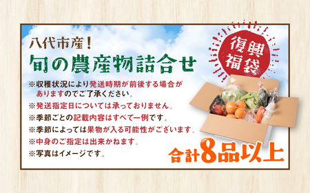 八代市産！旬の農産物詰合せ 復興 福袋 8品以上