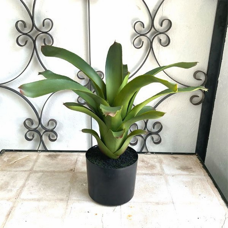 フリーセア ファイクプランツ サボテン 食虫植物の造花 人工観葉植物 フェイクグリーン 開店祝い 引越し祝い ギフト かわいい おしゃれ 通販 Lineポイント最大0 5 Get Lineショッピング