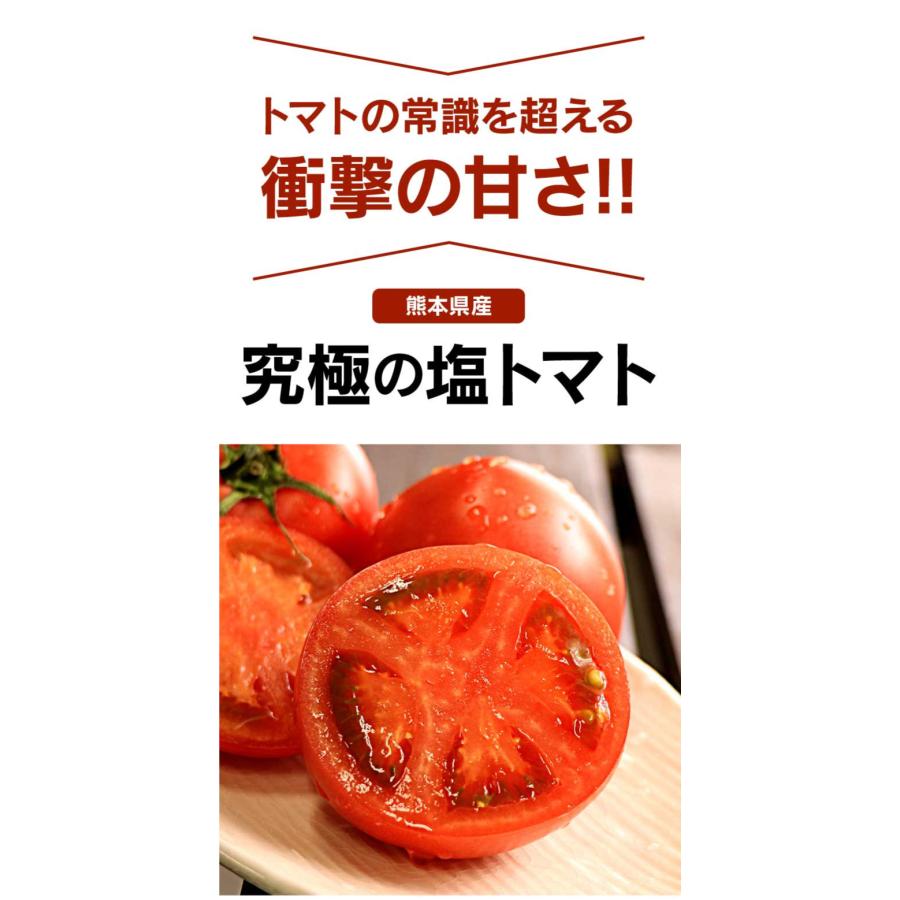 熊本産 塩トマト フルーツトマト 1kg 9〜12玉 送料無料 甘いトマト ＜12月中旬より出荷予定＞ 塩とまと 高糖度 農家直送 大嶌屋（おおしまや）