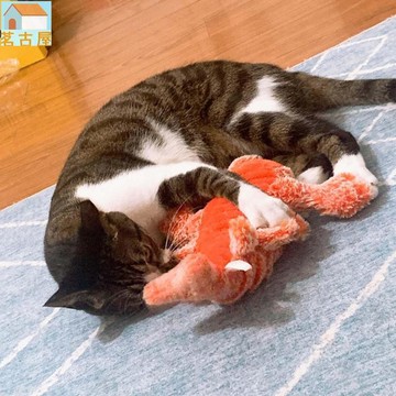 跳龍蝦玩具,適用於室內小貓 USB 充電遊戲抓蝦