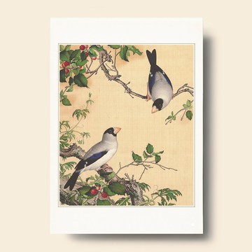 【藝術畫卡】仙萼長春 櫻桃桑鳲 | B4畫卡